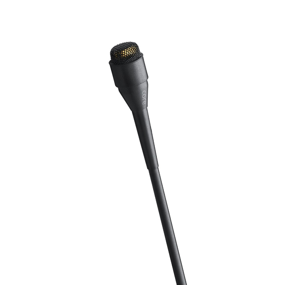 DPA 4060 Black MicroDot