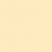 Roll Rosco E-Colour CT Straw 1/4 #443 image 1