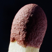 Infinity InfiniProbe TS-160 ROBUSTO PL / EF image 3