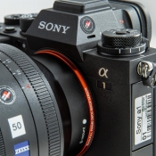 Sony a1 image 5