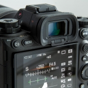 Sony a1 image 6